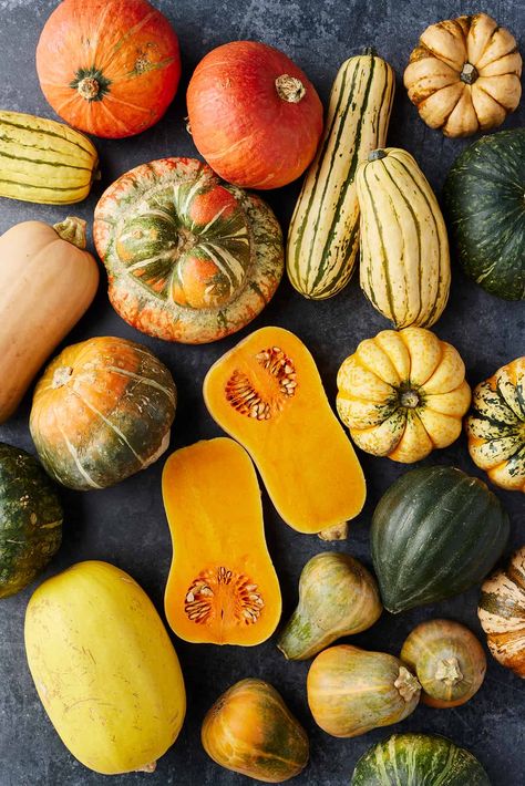 Different Squashes Types Of, Squash Photography, Different Kinds Of Squash, Sauteed Yellow Squash, Types Of Squash, Yellow Crookneck Squash, Squash Dishes, Squash Types, Winter Squash Varieties