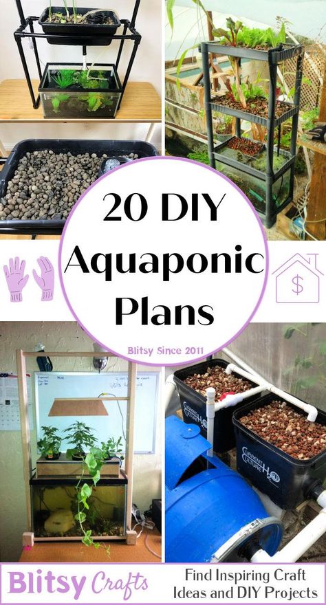 Aquaponics Greenhouse Diy, Aquaponic Gardening With Fish, Vertical Garden Aquaponics, Diy Hydroponics System, Hydro Garden, Hydroponic Fish Tank, Fish Tank Aquaponics, Homemade Hydroponics, Best Fish For Aquaponics