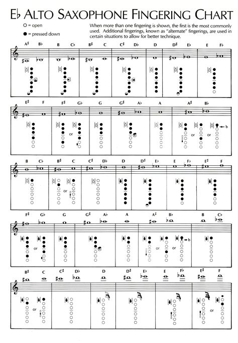 Just in case I ever forget how to play my sax... Ha!! Yeah right!! Alto Saxophone Fingering Chart, Saxophone Notes, Alto Saxophone Music, Saxophone Fingering Chart, Alto Sax Sheet Music, Alto Saxophone Sheet Music, Saxophone Music, Saxophone Sheet Music, Partition Piano