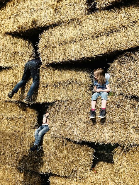 Straw Bales: Building Efficient Walls with Agricultural Waste | ArchDaily Straw Bale Building, Straw Bale Construction, Climate Adaptation, Aesthetic Creative, Straw Bales, Landscape And Urbanism, Urban Park, Green Architecture, Building Systems