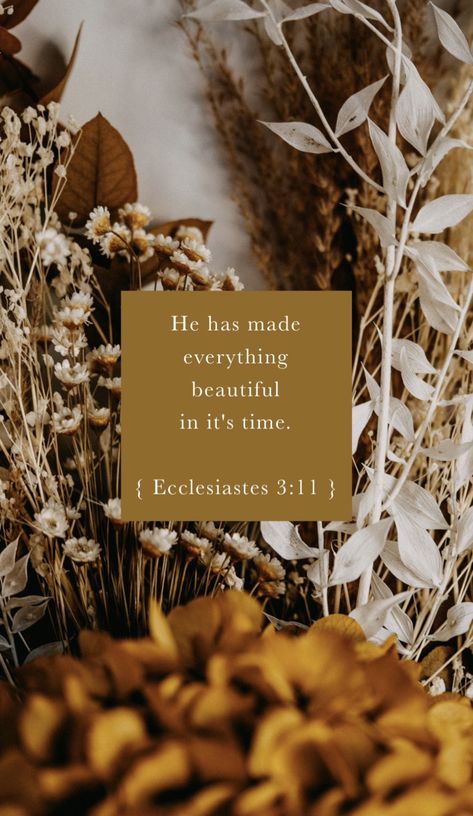 Lockscreen Christian, Ecclesiastes 3 11, Christian Quotes Wallpaper, The Human Heart, Bible Verse Background, Trust In God, Faith Scripture, Bible Quotes Images, Ayat Alkitab