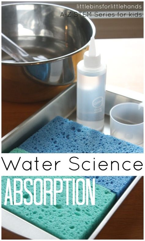 An easy science experiment for kids this summer. This Water Science Absorption is perfect way to work on science in a fun and easy way this summer.  #summerwateractivities #scienceforkids Water Experiments For Kids, Water Science Experiments, Kids Stem Activities, Water Experiments, Experiment For Kids, Stem Activity, Science Activity, Kid Experiments, Easy Science Experiments