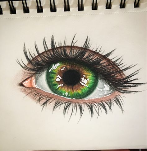 Irises, Colored Pencils, Lashes, Pencil, Green, Coloured Pencils