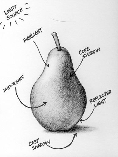 Shading And Lighting Drawing, Shading Drawing Fruits, Light Shadows Drawing, Shading Drawing Beginner, Sketch Shadow Shading, Shadows Drawing Tutorial, Understanding Light And Shadow, Pencil Shadow Drawing, Charcoal Shading Techniques