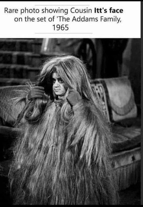 Cousin Itt, Cousin It, Spoiler Alert, Addams Family, Do You Remember, Pumpkin Carving, Carving, Hair