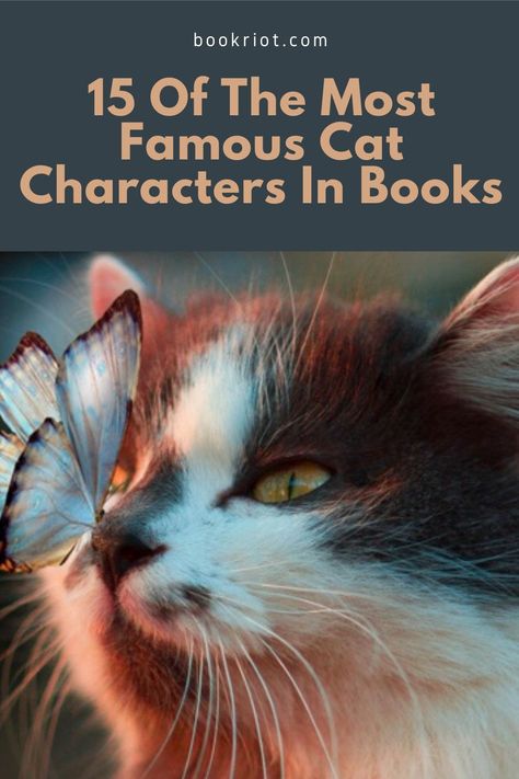 Meow, meow! Get to know these famous cat characters of books. book lists | cats in books | book cats | literary cats Audio Books For Kids, Free Kids Books, Warrior Cats Series, Pet Cemetery, Contemporary Books, Grey Kitten, Book Of Poems, Cat Talk, Cat Stories