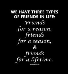 Three Types Of Friends, Types Of Friends, Friend Quote, Life Friends, Bestest Friend, Book Ends, Friend Quotes, Crazy Friends, True Friendship