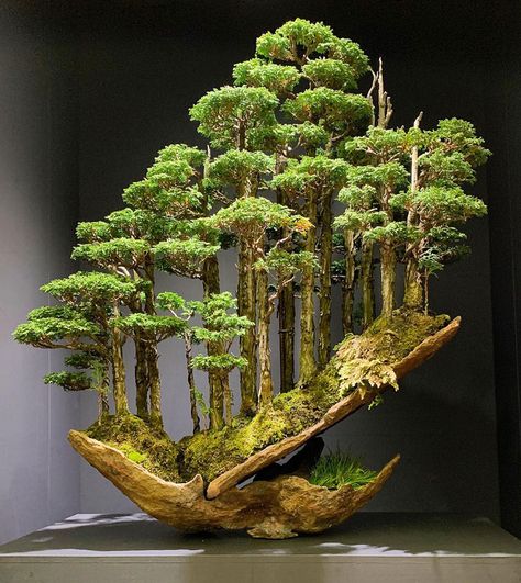 Japanese Garden Zen, Bonsai Forest, Bonsai Tree Types, Tanaman Pot, Gubahan Bunga, Plantas Bonsai, Indoor Bonsai, Desain Lanskap, Deco Nature