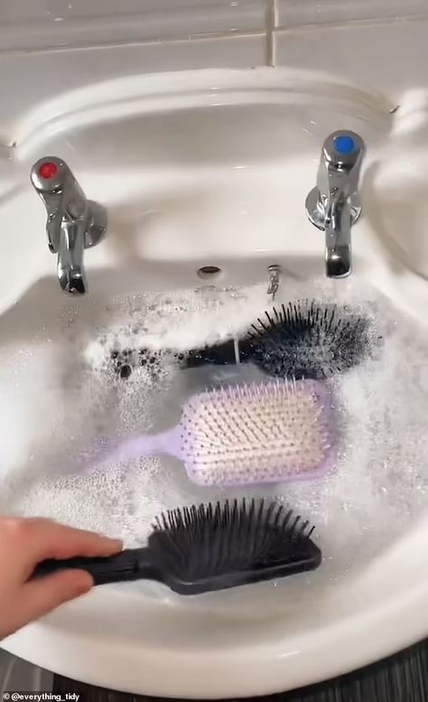 How dirty is YOUR hairbrush? Grimy TikTok video of woman washing her brush goes viral - leaving followers horrified at the murky sink water Wash My Hair, Skincare Lifestyle, Cleaning Videos, Wash Hair, House Organisation, Viral On Tiktok, Skincare And Makeup, Instagram Ideas Post, Wash Brush