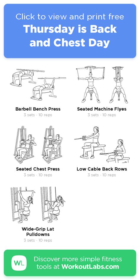 Cheat And Back Workout, Back And Chest Workout, Workoutlabs Fit, Chest Day Workout, Chest And Back Workout, Workout Gym Routine, Chest Day, Reps And Sets, Barbell Workout