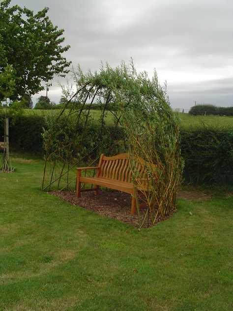 Willow Structures, Willow Fence, Living Willow, Piscina Natural, Halloween Garden, Have Inspiration, Backyard Living, Garden Fencing, Pergola Shade