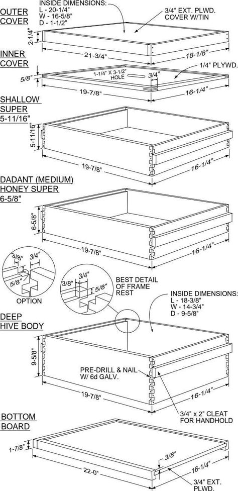 10-frame Langstroth Beehive.pdf Langstroth Hive Plans, Beehive Designs, Beehive Plans, Bee Nuc, Beehive Drawing, Building A Beehive, Bee Hive Stand, Honey Bee Box, Backyard Bees