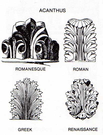 s Ornament Drawing, Cathedral Architecture, Leaf Drawing, Plants And Flowers, Acanthus Leaf, Ancient Romans, Architectural Elements, Arabesque, Architecture Drawing