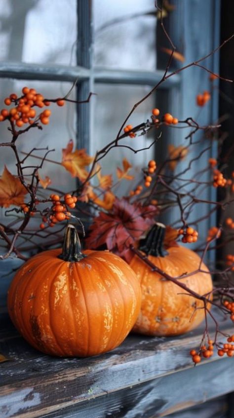 Fall Wallpaper Laptop, Moody Fall Decor, Plants Reference, Pumpkins Aesthetic, Fall Tables, Diy Fall Decor Ideas, Netflix Horror, Horror Series, Diy Fall Decor