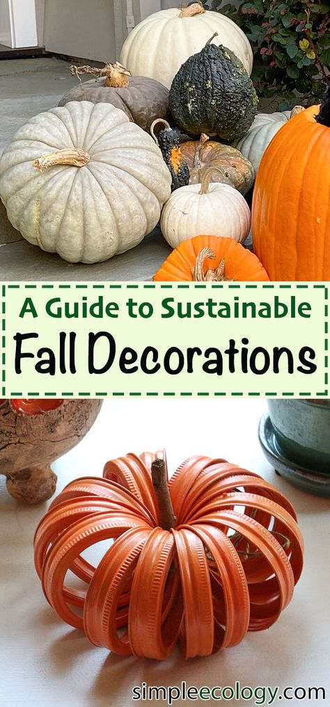 Recycled Fall Decorations, Sustainable Fall Decorations, Diy Halloween Decorations Eco Friendly, Recycled Pumpkin Crafts, Zero Waste Fall Decor, Eco Friendly Fall Decor, Sustainable Diy Crafts, Zero Waste Halloween Decor, Eco Friendly Halloween Decor