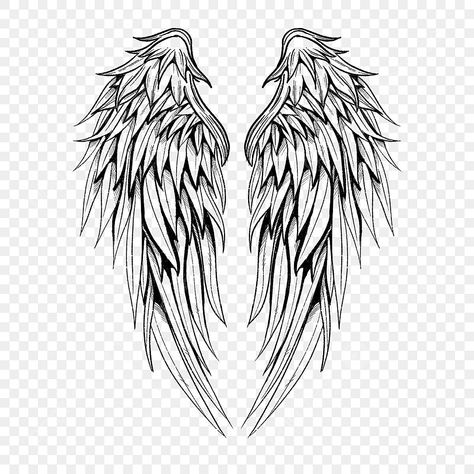 Angel Wing Outline, Angel Wing Silhouette, Angel Wings Png, Wings Sketch, Angel Wings Drawing, Vector Tattoo, Wings Png, Angel Wings Art, Wing Tattoo Designs