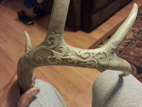 engraving 3 shed first Deer Hunting Decor, Animal Skull Decor, Antler Projects, Deer Skull Art, Deer Antler Crafts, Antler Ideas, Deer Antler Decor, Antlers Decor, Antler Crafts