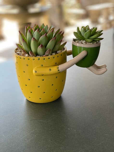 Pottery Planter Ideas, Cactus Pots Ideas, Plant Pot Decor, Pottery Plant Pots, Clay Diy Projects, Garden Crafts Diy, Concrete Crafts, Pottery Crafts, Diy Pottery