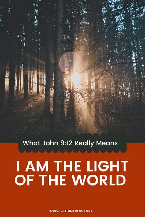 I Am The Light Of The Lord - John 8:12 I Am The Light, Letters To God, The Gospel Of John, John 8 12, Gospel Of John, John 8, I Am Statements, Light Of The World, Light Of Life