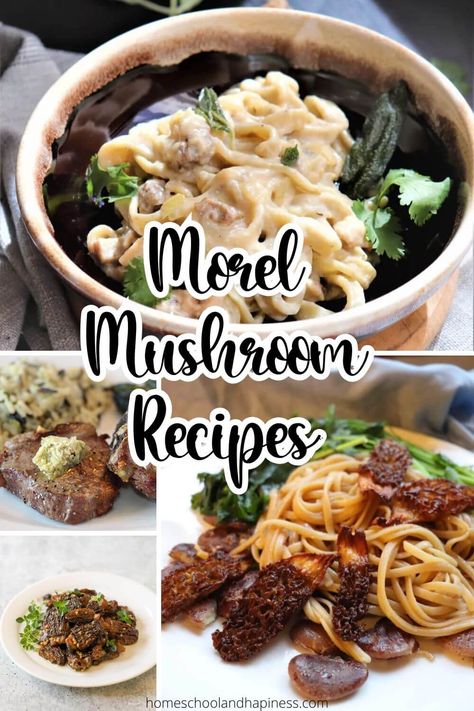 Morel Mushroom Recipes Dried Morel Recipes, Dried Morel Mushroom Recipes, Morel Recipes, Morel Mushroom Recipes, Mushrooms Sauteed, Spring Snacks, Poached Lobster, Morel Mushrooms, Mushroom Cream Sauces