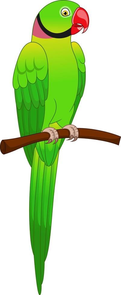 Cute macaw parrot cartoon on tree branch Parrot Cartoon Image, Parrot Photo, Parrot Clipart, Parrot Cute, Cartoon Parrot, Parrot Cartoon, Color Paper Crafts, Simple Wall Paintings, Forest Cartoon