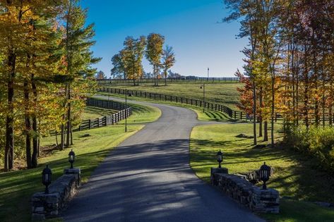 Winding Driveway, Entrance Landscaping, Horse Pasture, Horses Stuff, Farm Entrance, Stable Style, Tree Lined Driveway, Dream Horse Barns, Driveway Entrance