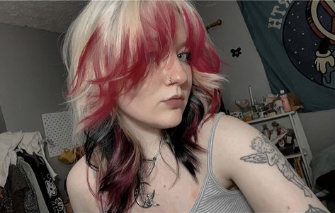 #hair #wolfcut Emo Hair Color Short, Grunge Hair Inspo Color, Hair Dyed At The Tips, Pink And Black Hair Wolfcut, Died Ends Of Hair Brown, Dyed Grunge Hair, Blonde With Dyed Tips, Wolfcut Color Ideas, Main Character Hair Color