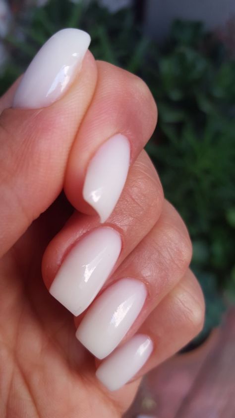 Short Neutral Manicure, Get Nails Short, Minimalist Nail Design Inspiration, Simple Dip Nails, Milky Nails, Makijaż Smokey Eye, Soft Nails, Nagel Inspo, Neutral Nails