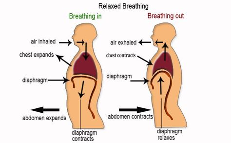 Myofascial Release Trigger Points, Practice Piano, Choir Room, Shoulder Rehab, Singing Techniques, Music Symbol, Vocal Lessons, Diaphragmatic Breathing, Yoga Breathing