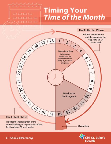 Menstrual Cycle Infographic Fertility Chart Menstrual Cycle, Period Chart Menstrual, Menstrual Cycle Days, Tracking Your Cycle, How To Track Your Period, How To Track Ovulation Cycle, Menstrual Facts, Menstrual Cycle Chart, Menstrual Cycle Calendar