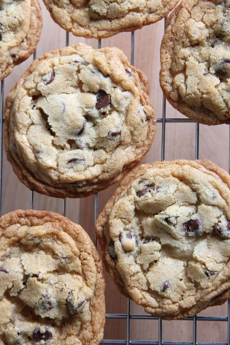 The Best Chocolate Chip Cookies Ever, The Best Cookies Ever, Chocolate Chip Cookies Easy, Best Chocolate Chip Cookies Ever, Baking Chocolate Chip Cookies, The Best Chocolate Chip Cookies, Best Chocolate Chip Cookies Recipe, Dessert Cookies, Desserts Cookies