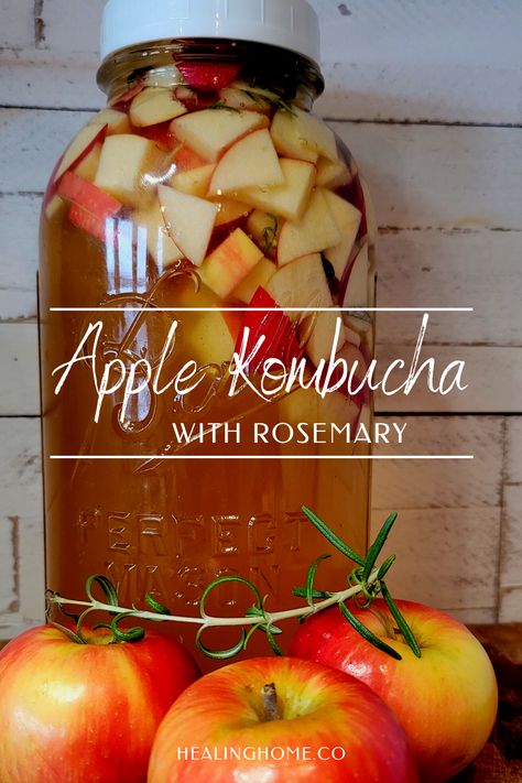 Kombucha is a delicious nectar when it doesn't have any flavor added, but add some flavor and it becomes a powerhouse of nutrition and a delicious tangent from typical health drinks. This Apple Kombucha has the added spunk of rosemary that bring a subtle burst of flavor that will have you coming back to your refrigerator for more and more. #kombuchaflavor #kombucharecipe #thm #trimhealthymama Kombucha Flavors Recipes, Resep Vegan, Kombucha Benefits, Kombucha Flavors, Sugar Free Lifestyle, Trim Healthy Mama Plan, Kombucha Recipe, Homemade Kombucha, Probiotic Drinks