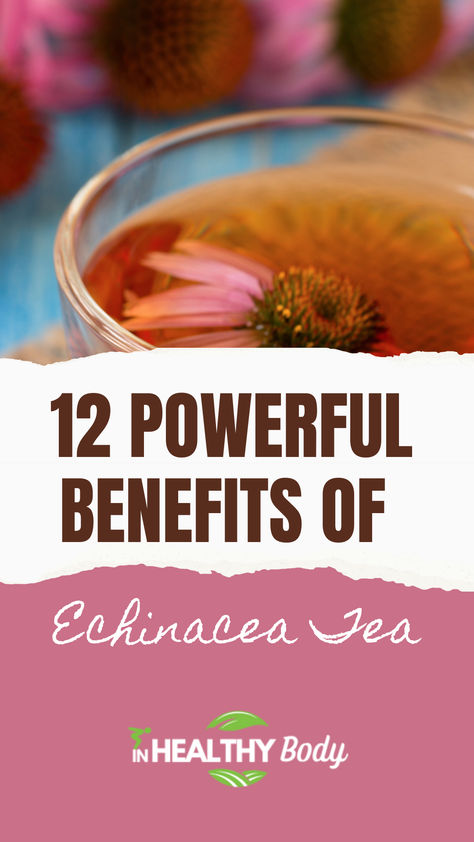 Echinacea tea with echinacea pink flowers. Echinacea Tea Recipes, Benefits Of Echinacea, Echinacea Tea Benefits, Tea With Honey, Echinacea Benefits, Herb Life, Common Diseases, Echinacea Tea, Echinacea Purpurea