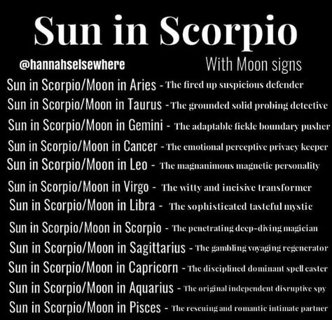 Sun In Scorpio Astrology, Scorpion Facts, November Born, Celtic Zodiac, Sun In Scorpio, Zodiac Quotes Scorpio, Witch Things, Astrology Scorpio, Scorpio Man