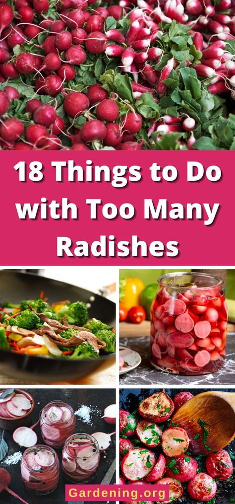 How To Cook Radishes, Radish Chips, Season Recipes, Fresh Eating, Radish Greens, Low Acid Recipes, Radish Recipes, Roasted Radishes, Pickled Radishes