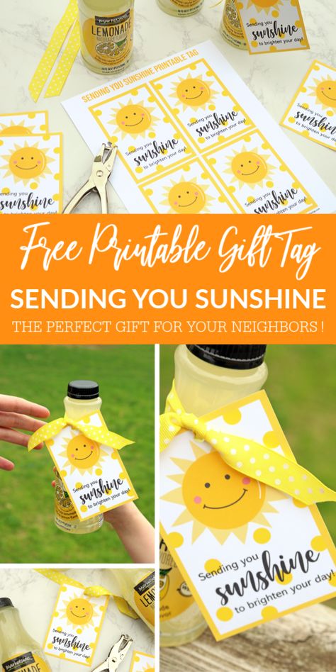 Brighten Your Day Gift Basket, Staff Sunshine Ideas, Sunshine Teacher Appreciation, Sunshine Teacher Gift, Sunshine Box Ideas, Sunshine Committee Ideas, Sunshine Package, Brighten Your Day Gift, Basket Of Sunshine