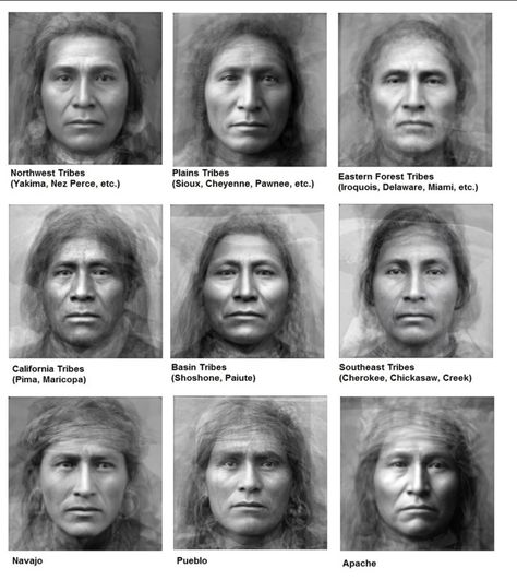 Typical Facial Features American Native Average Face, Native American Spirituality, American Quotes, American Indian History, Salem Witch Trials, Native American Wisdom, Native American Images, Native American Men, Native American Symbols