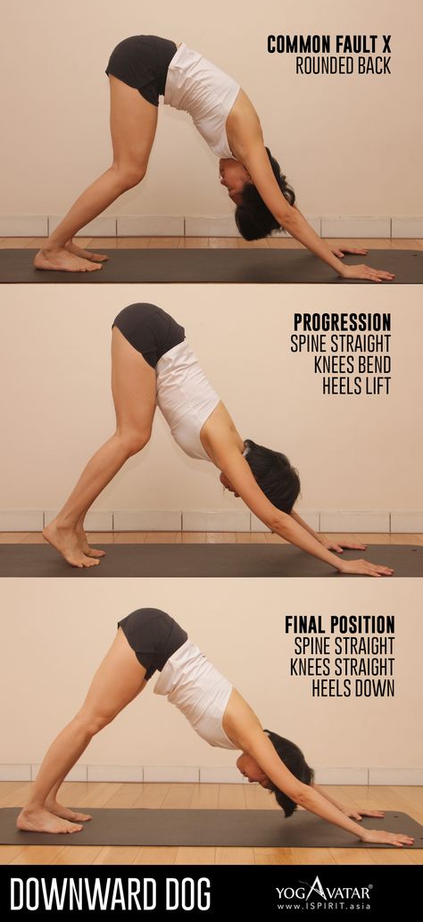 How To Do Downward Dog, Levoscoliosis Exercises, Down Dog Yoga Pose, Yoga Downward Dog, Down Dog Yoga, Downward Facing Dog Pose, Downward Dog Yoga Pose, Paulo Costa, Downward Dog Yoga