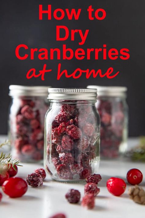 How to Dry Cranberries - Binky's Culinary Carnival Dehydrated Cranberries In Dehydrator, Diy Dried Cranberries, How To Make Dried Cranberries, Dehydrating Cranberries In Dehydrator, How To Dehydrate Cranberries, How To Dry Cranberries In Oven, Dehydrating Cranberries, How To Dry Cranberries, Dehydrated Cranberries