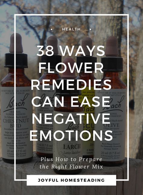 What are flower remedies? They are a gentle way of promoting healing by easing emotional troubles. Here are 38 ways flower remedies can ease negative emotions. Bach Remedies, Flower Medicine, Flower Essences Remedies, Pineapple Health Benefits, Bach Flowers, Flower Remedies, Bach Flower Remedies, Flower Remedy, Plant Medicine