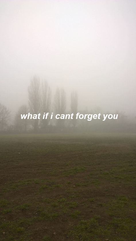 what.if.i.cant.forget.you.please.you.dont.forget.me. How Can You Forget Me So Easily, Falling For You Quotes, I Cant Unlove You, I Cant Forget You, Stanley Uris, Random Texts, Forgetting Quotes, Aot Oc, Die Quotes