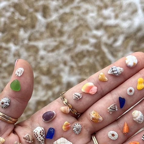 293K likes, 1,052 comments - kimmykaihawaii on November 21, 2023: "Tiny Tuesday 🐚💛 Sunny chips, mini urchin skeletons, the ittiest abbreviated cones, colorful..." Aesthetic Artsy, Nautical Aesthetic, Futuristic Aesthetic, Soft Grunge Aesthetic, Sea Glass Colors, Vegan Nail Polish, Cyberpunk Aesthetic, Bohemian Aesthetic, Boho Aesthetic