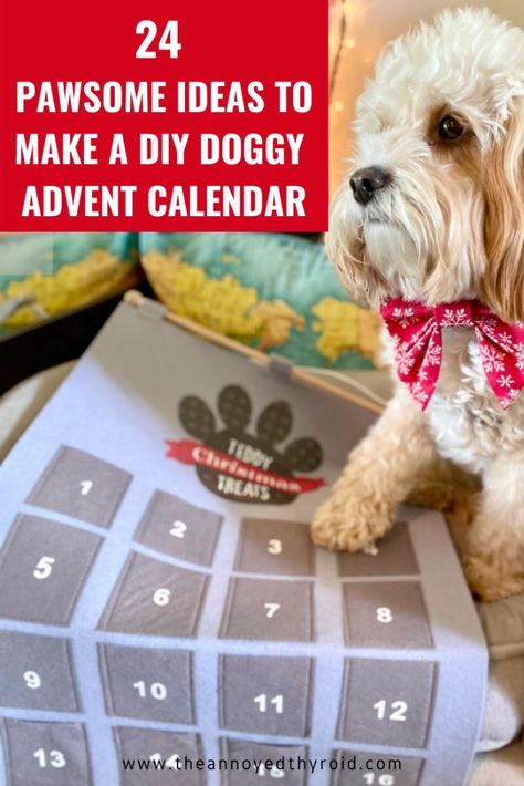 Dog Advent Calendar Ideas Diy, How To Make A Dog Advent Calendar, Diy Dog Treat Advent Calendar, Advent Calendar For Dog, Advent Calendar For Dogs Diy, Diy Pet Advent Calendar, Pet Calendar Ideas, Advent Calendar For Dogs, Dog Advent Calendar Diy