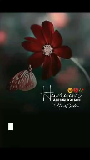 Bekhayali Song Status, Humari Adhuri Kahani, Bekhayali Song, Adhuri Kahani, Love Feeling Images, Love Songs Hindi, Happy Stories, Romantic Love Song, Feeling Song