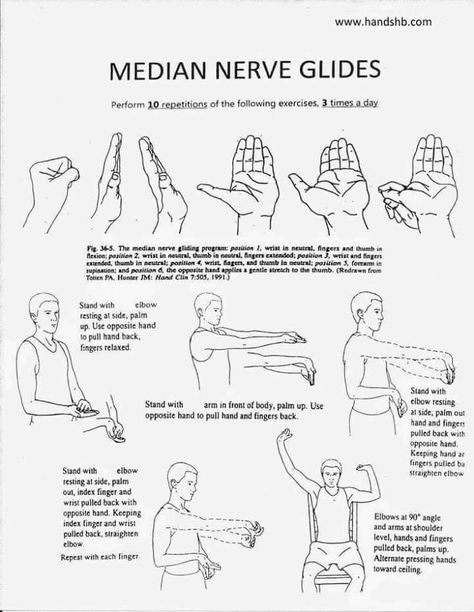 Nerve Glides, Hand Therapy Exercises, Ulnar Nerve, Physical Therapist Assistant, Median Nerve, Occupational Therapy Activities, Home Exercise Program, Physical Therapy Exercises, Medical Anatomy