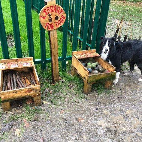 Diy Outdoor Dog Enrichment, Dog Play Areas In Backyard, Dog Parks Design, Fun Dog Run Ideas, Backyard For Dogs Play Areas, Dog Park Ideas Backyards, Outdoor Dog Treat Station, Outside Dog Activities, Outdoor Dog Oasis