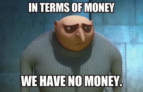 In terms of money we have no money | Best of funny memes No Money Meme, Money Meme, Miss Piggy, Humor Grafico, No Money, Have A Laugh, Despicable Me, I Smile, Bones Funny