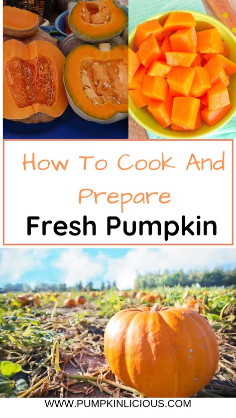 Find out how to cook and prepare fresh pumpkin! Bake it, steam it and even do it in the microwave! Fresh Pumpkin Recipes, Cook Pumpkin, Fresh Pumpkin Pie, Biggest Pumpkin, Cooking Pumpkin, Fresh Pumpkin, Sugar Pumpkin, Pumpkin Recipes Dessert, Gluten Free Recipes Easy