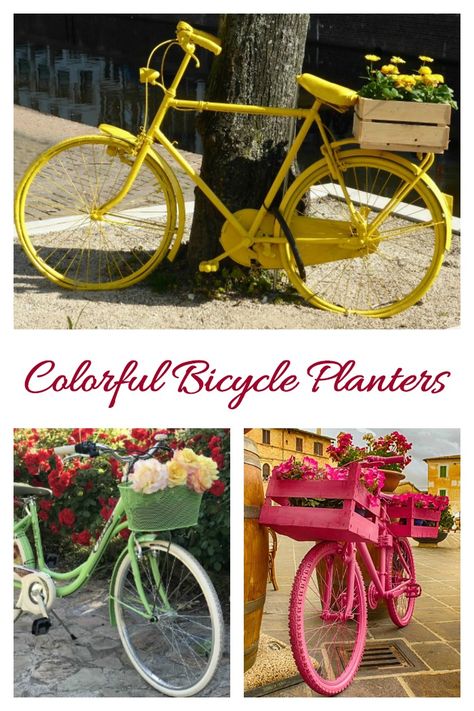 Colorful bicycle planters