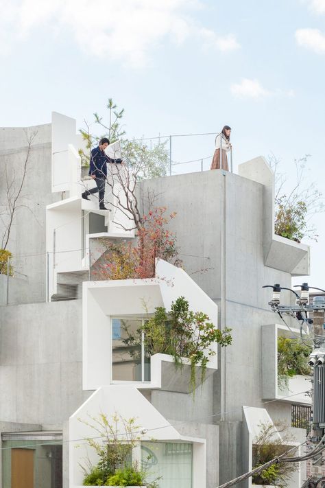 Stacked concrete boxes create "futuristic and savage" Tree-ness House Vertical Forest, Tokyo Apartment, House Tokyo, Architecture Art Nouveau, Japanese Buildings, Japanese Architect, Residential Complex, Organic Architecture, Japanese Architecture